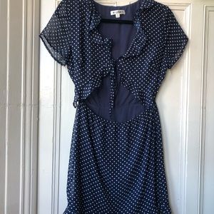 Blue & White Polka Dot Dress / Wild Honey / Small